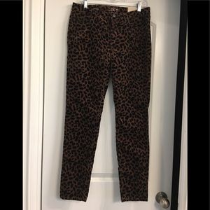 Loft Skinny Animal Print Pants - 6
